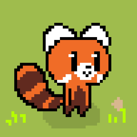 Dolor adipiscing elit